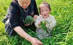 大唐之剑仙之路